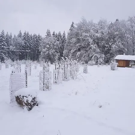 Chalet Boruvka - Biofarma Na Samote V Lesich Benesov  Exterior photo