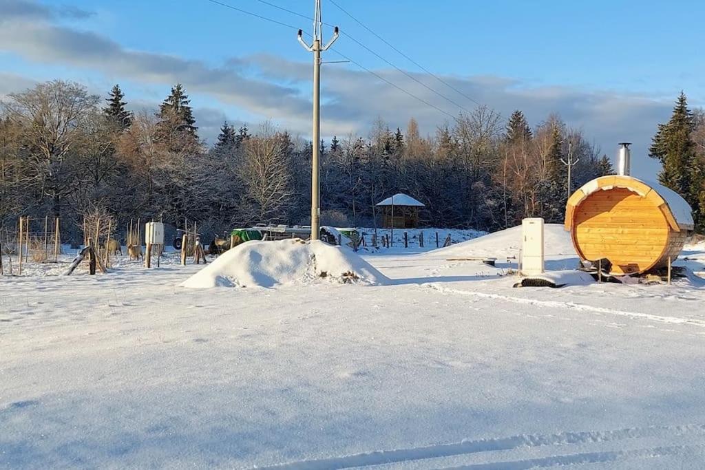 Boruvka - Biofarma Na Samote V Lesich Benesov (Blansko)